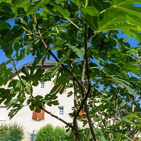 T3 Pyrénées Béarnaises Appartamento