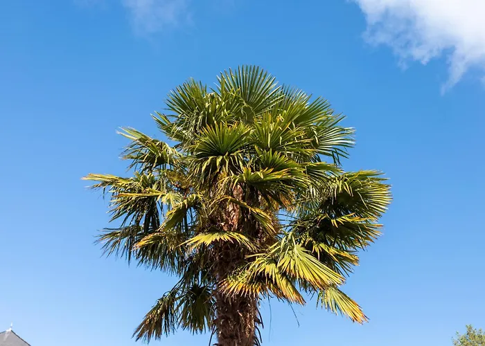 T3 Pyrenees Bearnaises *